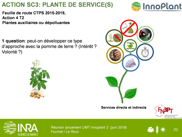 diapo_plante_de_service(s)