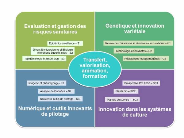 schema actions InnoPlant² français