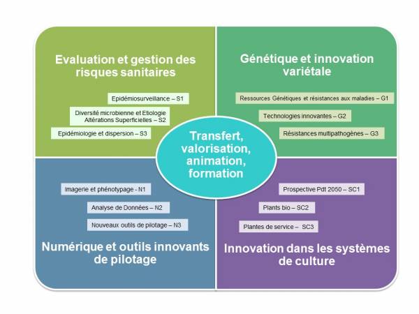 schema actions InnoPlant² français