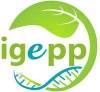 Logo-IGEPP-ECRAN_medium