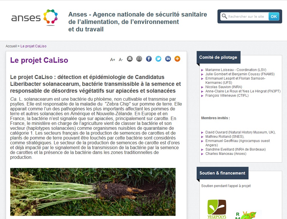 site projet caliso