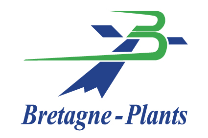 Bretagne Plants